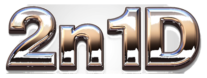 2n1d logo
